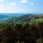 The Lemon Place By Nicola Real Estate * Corsanico-Bargecchia
