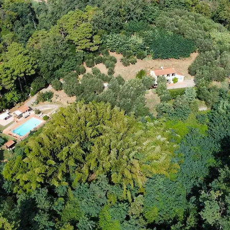 The Lemon Place By Nicola Real Estate Corsanico-Bargecchia